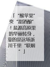 “酸苹果”变“甜酒酿”！盐源高原果的华丽转身，靠的是这场浙川千里“联姻”