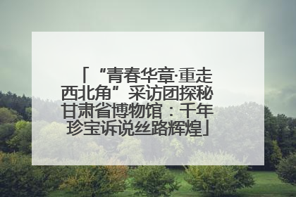 “青春华章·重走西北角”采访团探秘甘肃省博物馆：千年珍宝诉说丝路辉煌