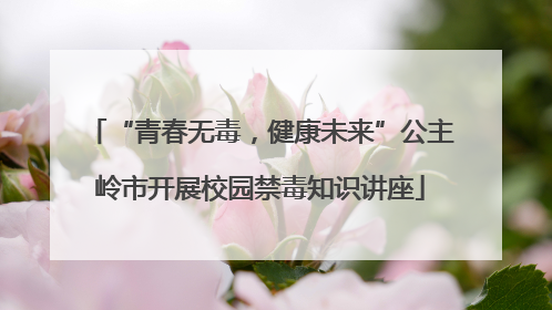 “青春无毒，健康未来”公主岭市开展校园禁毒知识讲座