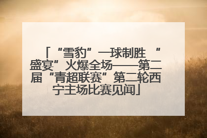 “雪豹”一球制胜 “盛宴”火爆全场——第二届“青超联赛”第二轮西宁主场比赛见闻