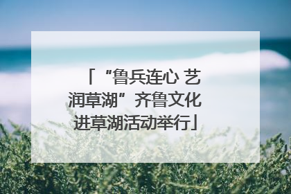 “鲁兵连心 艺润草湖”齐鲁文化进草湖活动举行