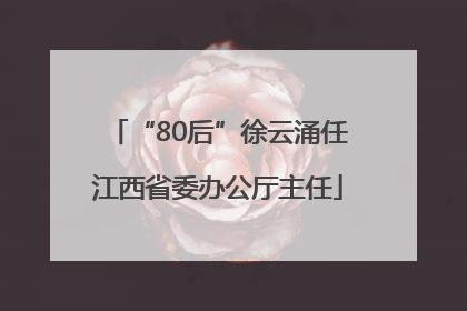 “80后”徐云涌任江西省委办公厅主任