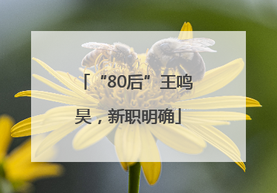 “80后”王鸣昊，新职明确