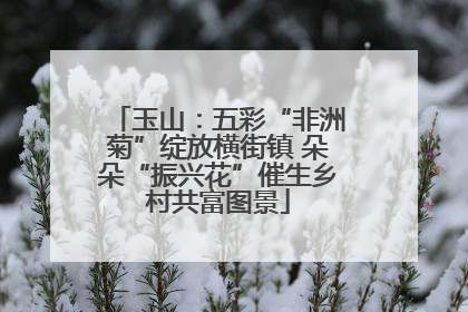 玉山：五彩“非洲菊”绽放横街镇 朵朵“振兴花”催生乡村共富图景