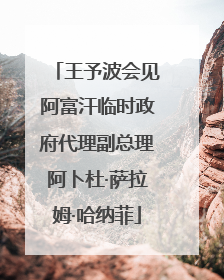 王予波会见阿富汗临时政府代理副总理阿卜杜·萨拉姆·哈纳菲
