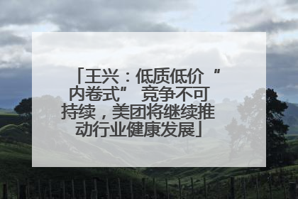 王兴：低质低价“内卷式” 竞争不可持续，美团将继续推动行业健康发展