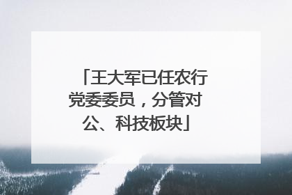 王大军已任农行党委委员，分管对公、科技板块