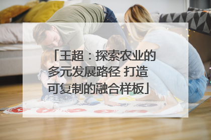 王超：探索农业的多元发展路径 打造可复制的融合样板