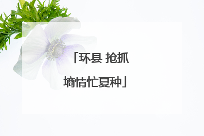 环县 抢抓墒情忙夏种