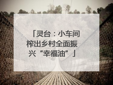 灵台：小车间榨出乡村全面振兴“幸福油”