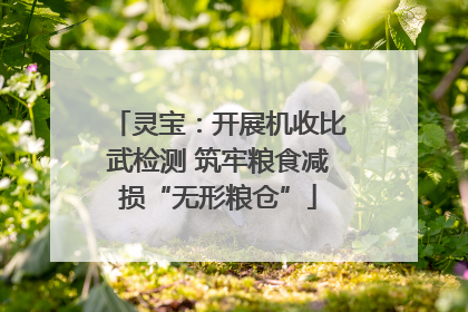灵宝：开展机收比武检测 筑牢粮食减损“无形粮仓”