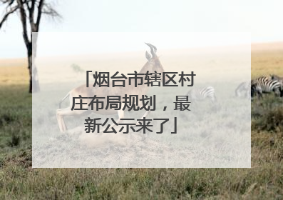 烟台市辖区村庄布局规划，最新公示来了