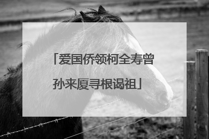爱国侨领柯全寿曾孙来厦寻根谒祖