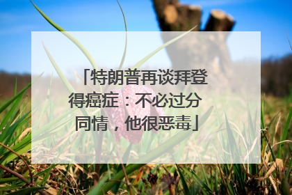 特朗普再谈拜登得癌症：不必过分同情，他很恶毒