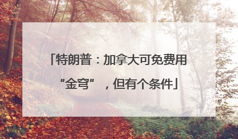 特朗普：加拿大可免费用“金穹”，但有个条件