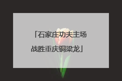 石家庄功夫主场战胜重庆铜梁龙