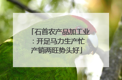 石首农产品加工业：开足马力生产忙 产销两旺势头好