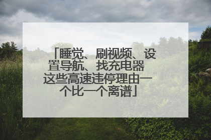 睡觉、刷视频、设置导航、找充电器 这些高速违停理由一个比一个离谱