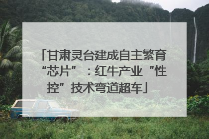 甘肃灵台建成自主繁育“芯片”：红牛产业“性控”技术弯道超车