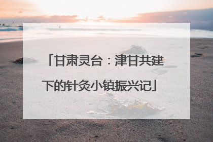 甘肃灵台：津甘共建下的针灸小镇振兴记