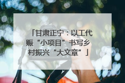 甘肃正宁：以工代赈“小项目”书写乡村振兴“大文章”