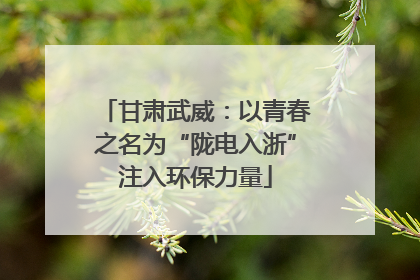 甘肃武威：以青春之名为“陇电入浙”注入环保力量