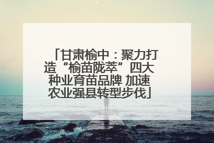 甘肃榆中：聚力打造“榆苗陇萃”四大种业育苗品牌 加速农业强县转型步伐