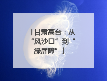 甘肃高台：从“风沙口”到“绿屏障”