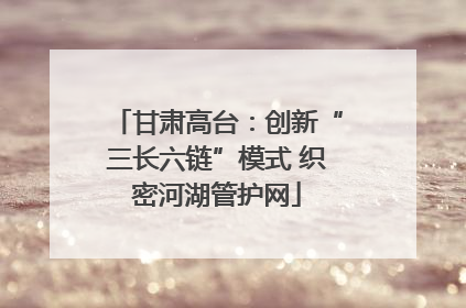 甘肃高台：创新“三长六链”模式 织密河湖管护网