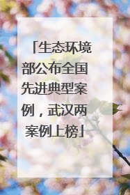 生态环境部公布全国先进典型案例，武汉两案例上榜