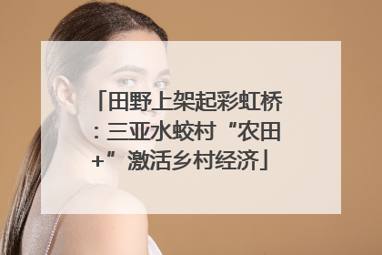 田野上架起彩虹桥：三亚水蛟村“农田+”激活乡村经济