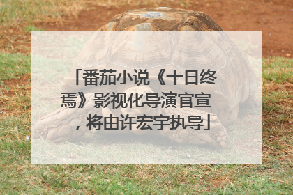 番茄小说《十日终焉》影视化导演官宣，将由许宏宇执导