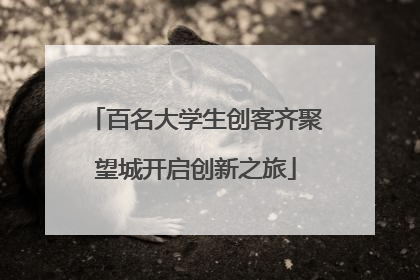 百名大学生创客齐聚望城开启创新之旅