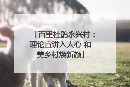百里杜鹃永兴村：理论宣讲入人心 和美乡村焕新颜