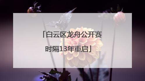 白云区龙舟公开赛时隔13年重启