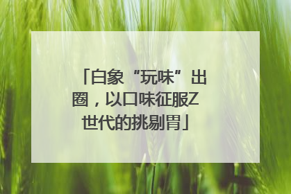 白象“玩味”出圈，以口味征服Z世代的挑剔胃
