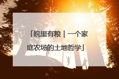 皖里有粮｜一个家庭农场的土地哲学