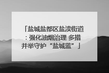 盐城盐都区盐渎街道：强化油烟治理 多措并举守护“盐城蓝”
