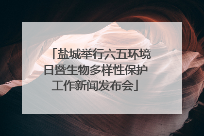 盐城举行六五环境日暨生物多样性保护工作新闻发布会