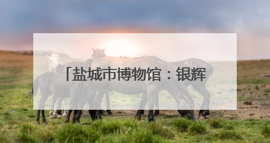 盐城市博物馆：银辉映端阳 釉彩谱华章