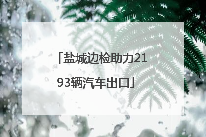 盐城边检助力2193辆汽车出口
