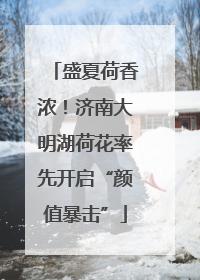 盛夏荷香浓！济南大明湖荷花率先开启“颜值暴击”