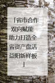 省市合作双向赋能 助力打造全省资产盘活益阳新样板