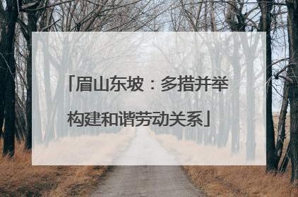 眉山东坡：多措并举构建和谐劳动关系