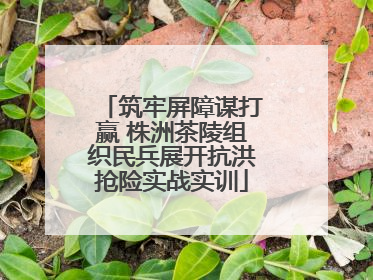 筑牢屏障谋打赢 株洲茶陵组织民兵展开抗洪抢险实战实训