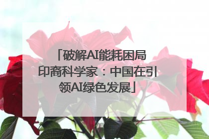 破解AI能耗困局 印裔科学家：中国在引领AI绿色发展