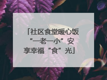 社区食堂暖心饭 “一老一小”安享幸福“食”光