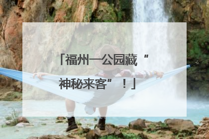 福州一公园藏“神秘来客”！