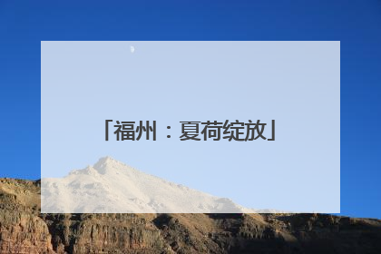 福州：夏荷绽放