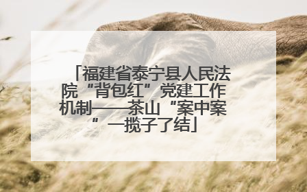 福建省泰宁县人民法院“背包红”党建工作机制——茶山“案中案”一揽子了结